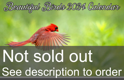 Beautiful Birds 2024 Calendar