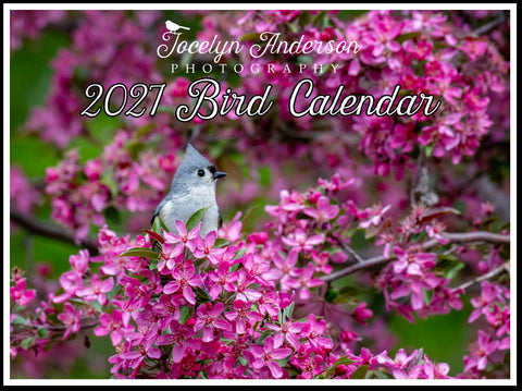 Bird Calendar 2027