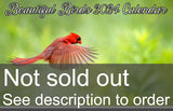 Beautiful Birds 2024 Calendar