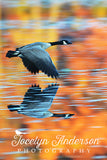 Canada Goose in Fall