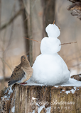 Mourning Dove with Snowman Friend
