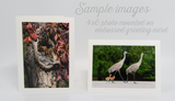 Greeting Cards with Mounted Photo